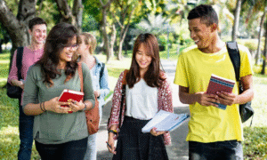 Screenshot 2025-10-01 121005 - Best Study Abroad Consultants in India