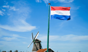 Screenshot 2025-10-01 144116 - Best Study Abroad Consultants in India